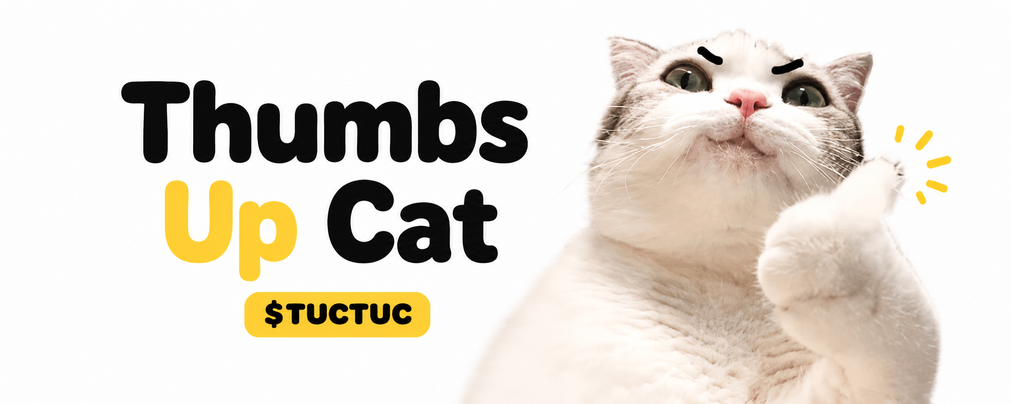 Thumbs Up Cat, the $TUCTUC mascot, raising one paw in approval