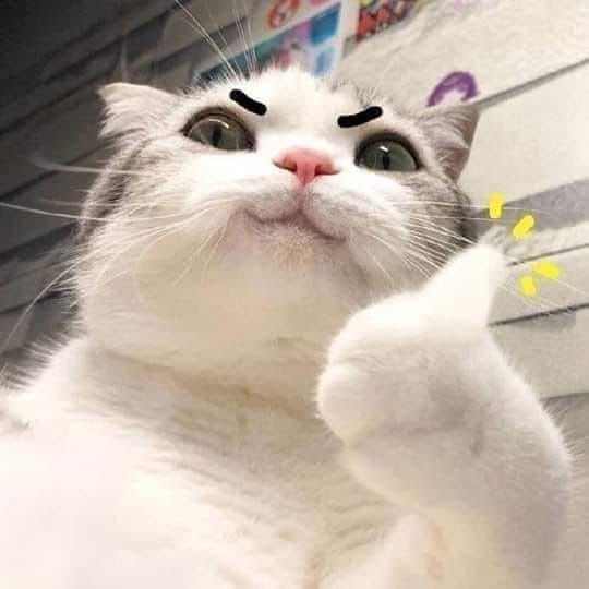 Thumbs Up Cat giving an approving paw with spark marks